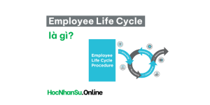 Employee Life Cycle (Vòng đời nhân viên) là gì?