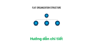 Cơ cấu tổ chức phẳng (Flat Organization Structure), hướng dẫn chi tiết