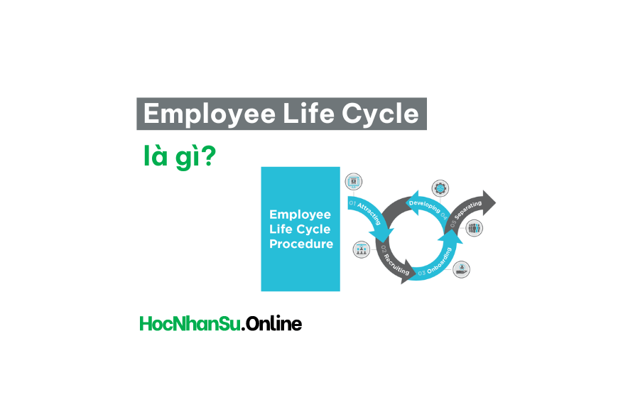 Employee Life Cycle (Vòng đời nhân viên) là gì?