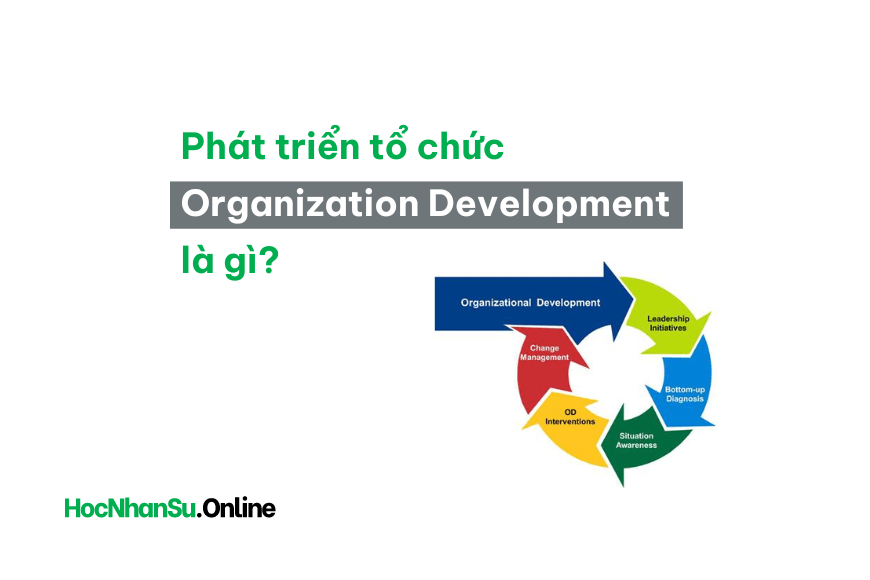 Organizational Development là gì? Phát triển tổ chức là gì?