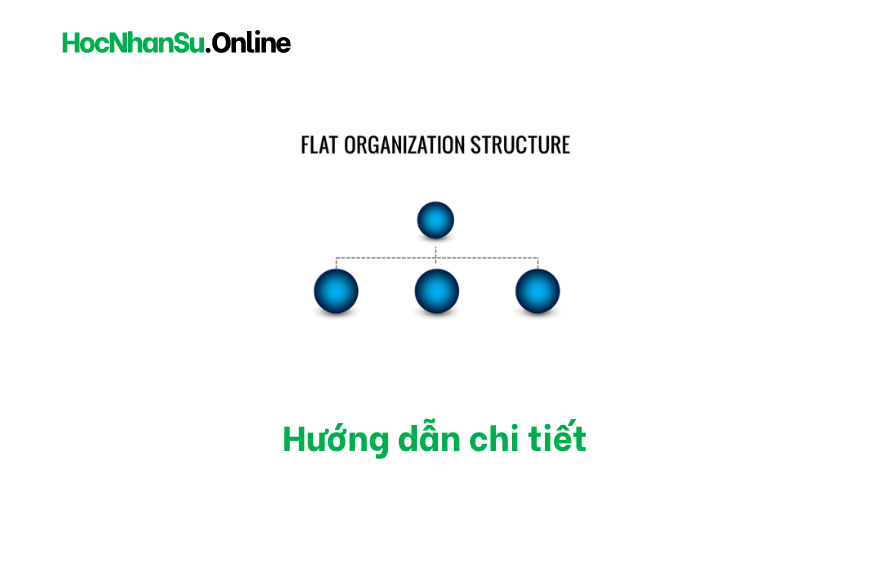Cơ cấu tổ chức phẳng (Flat Organization Structure)