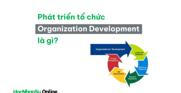 Organizational Development là gì? Tổng quan về Phát triển tổ chức