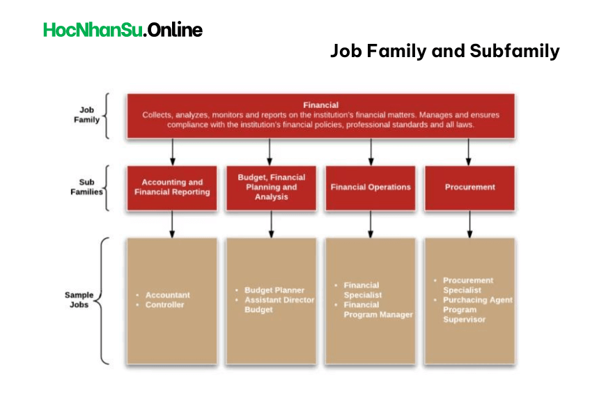 Job Family là gì?