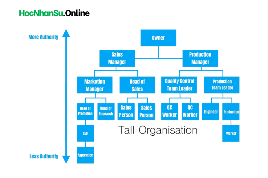 Tall Organization là gì?